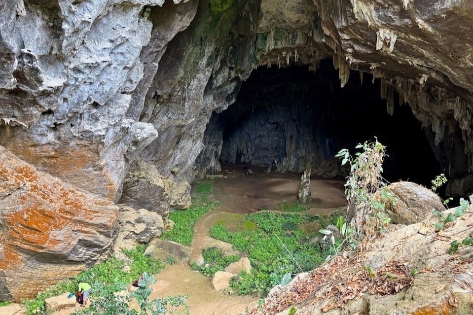 Son Doong cave (photo 4)