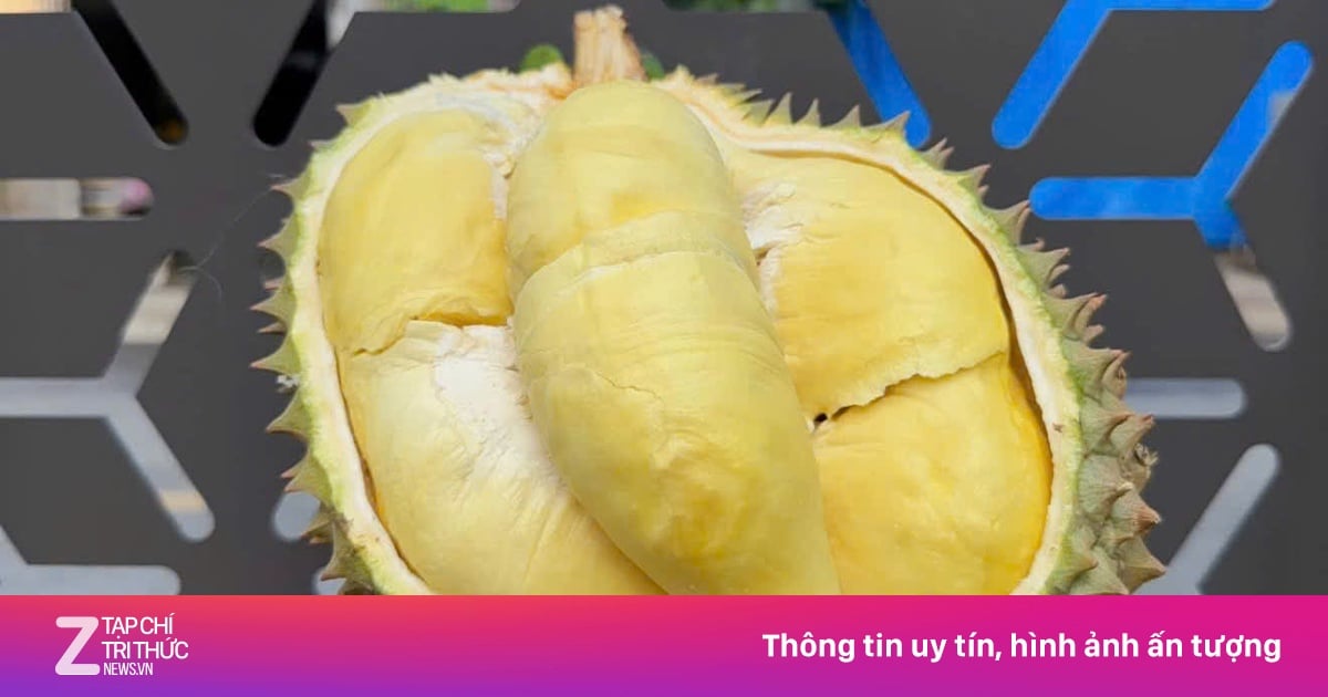 Giá sầu riêng bật tăng mạnh, chủ vườn bỏ túi tiền tỷ