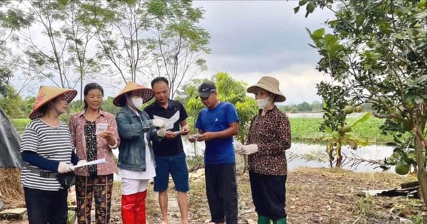 Kim Anh berfokus pada pencegahan dan pengendalian demam berdarah selama musim puncaknya.