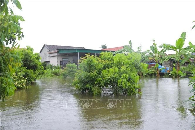 Banjir menenggelamkan lebih dari 16.000 rumah dan menyebabkan kerusakan signifikan pada sektor pertanian.