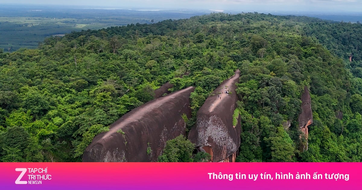 Drie gigantische 'walvissen' gevonden in de bergen van Thailand.
