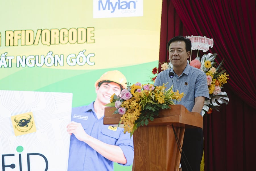 จังหวัดบิ่ญเดียนติด