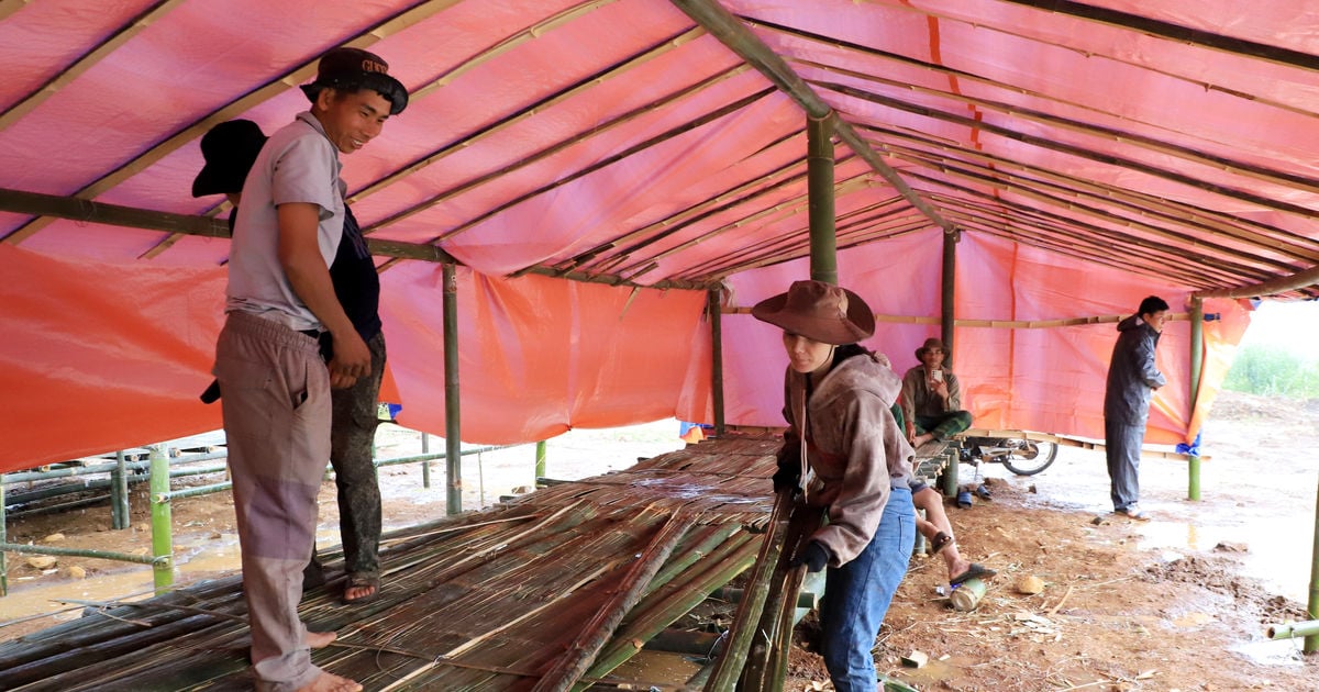 Menjamin keselamatan warga di daerah rawan penurunan tanah di komune Quang Son.