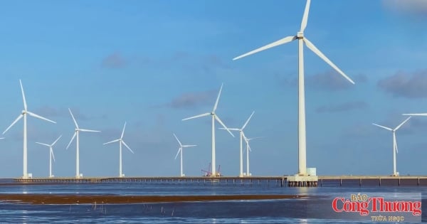 Ca Mau beschouwt technologie en innovatie als nieuwe aanjagers van groei.