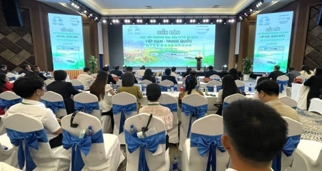 Het bevorderen van handels- en investeringssamenwerking tussen de Mekongdelta en China.