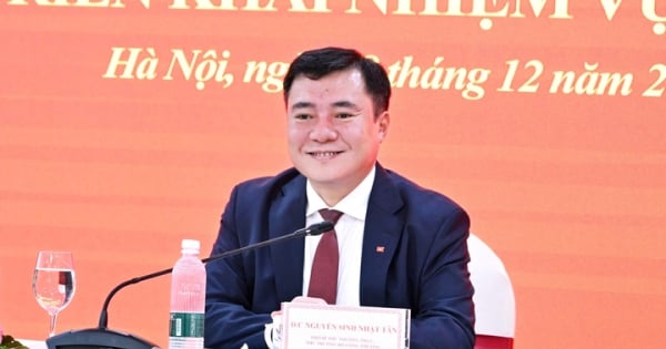 Staatssecretaris Nguyen Sinh Nhat Tan is benoemd tot plaatsvervangend secretaris van het partijcomit