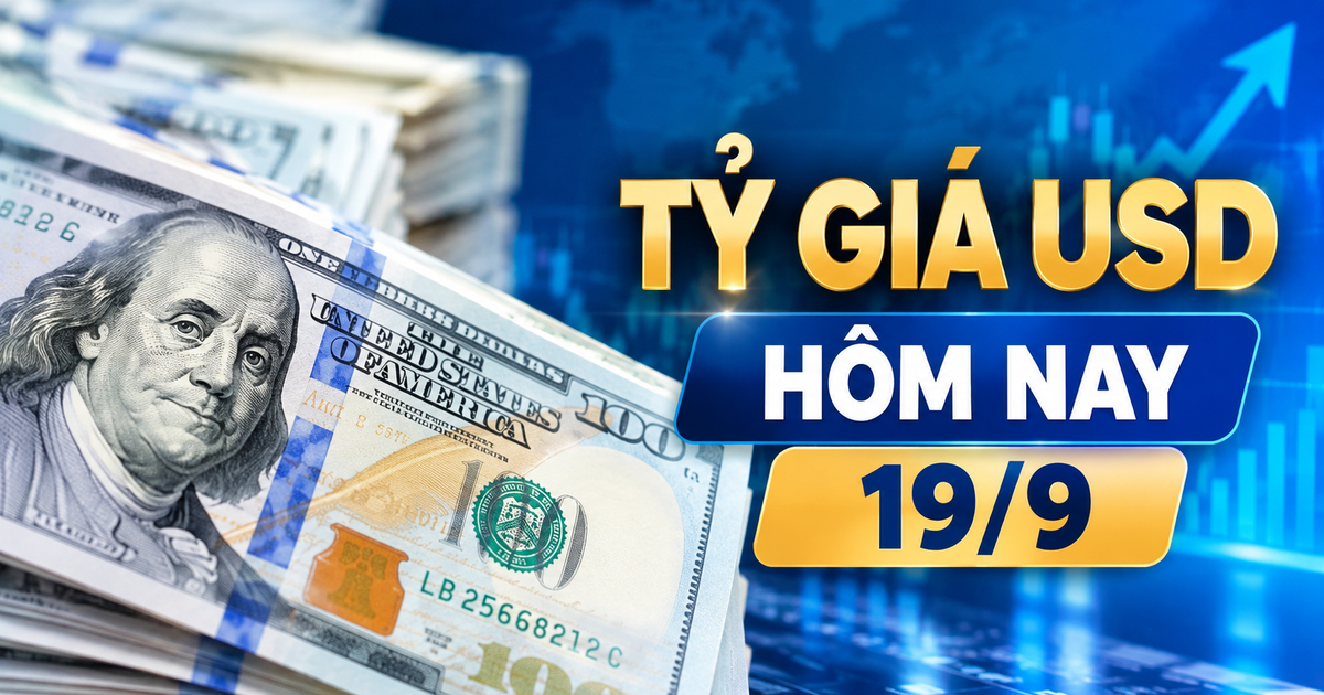 Euro Rises 0.5% Against US Dollar to 1.1481 - News Directory 3