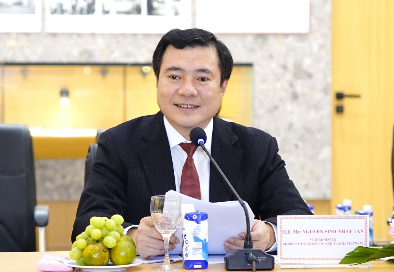 Het Politbureau heeft onderminister Nguyen Sinh Nhat Tan benoemd tot plaatsvervangend secretaris van