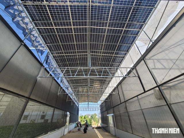 电力部门指出：拥有土地并不意味着您自动有资格安装太阳能发电系统 - 图 1。