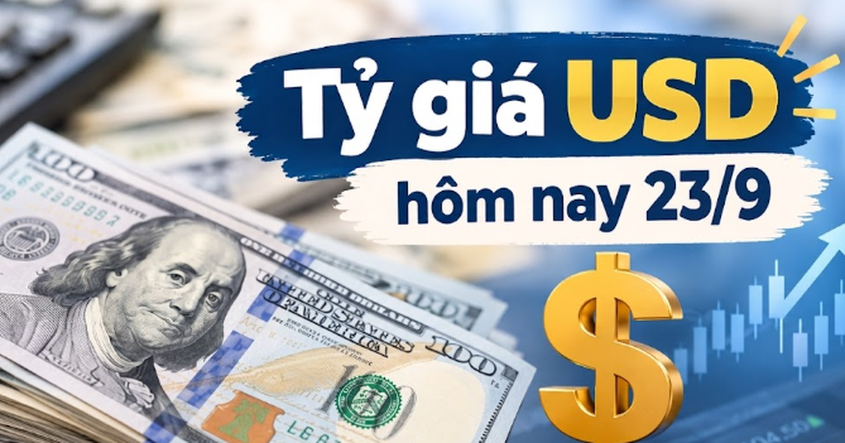Cotação do dólar hoje, 23 de setembro: A taxa de câmbio central atingiu 25.640 VND/USD.