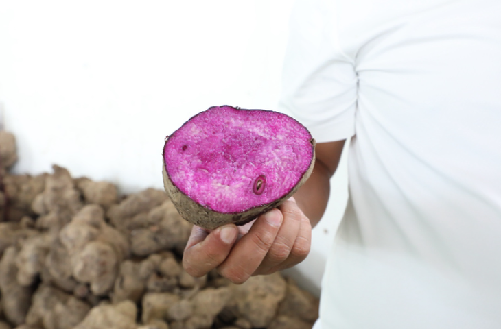Philippines bans purple yam exports: Why is this tuber causing a global sensation? - Image 1.