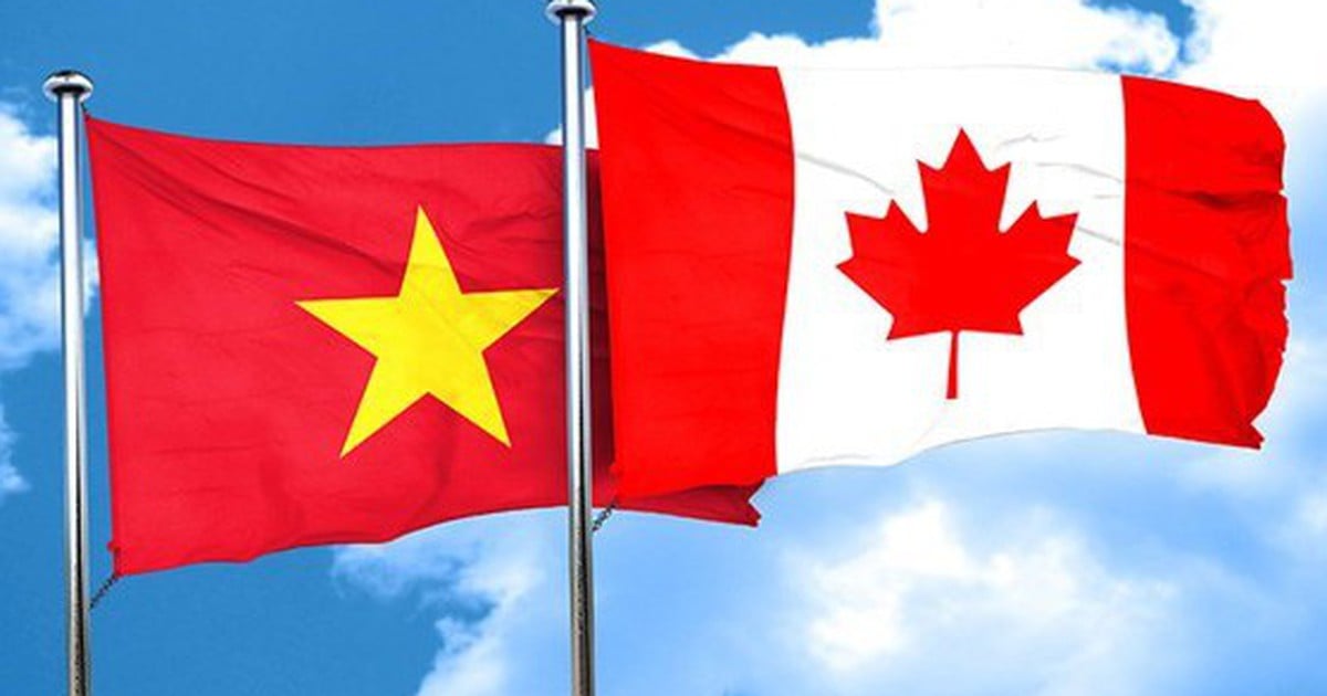 De handel tussen Vietnam en Canada bloeit en de mogelijkheden voor samenwerking blijven groot.