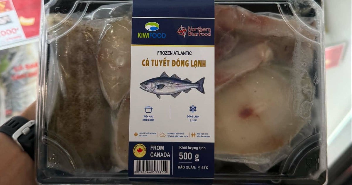 Handel tussen Vietnam en Canada: het potentieel meten aan de hand van daadwerkelijke orders