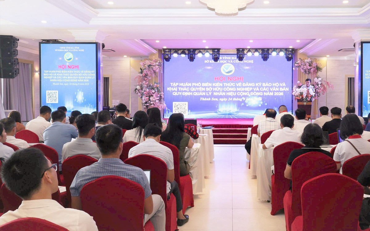 Ha Tinh: Transforming intellectual property into a tool for brand ...