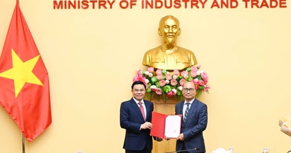 Bekendmaking van het besluit om Luong Hoang Thai te benoemen tot viceminister van Industrie en Hande