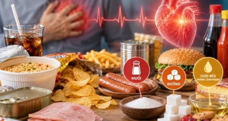 Ultra-processed foods drive global sodium intake above WHO limits
