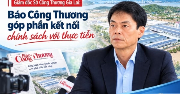 Directeur van het departement Industrie en Handel van Gia Lai: De krant Industrie en Handel draagt ?