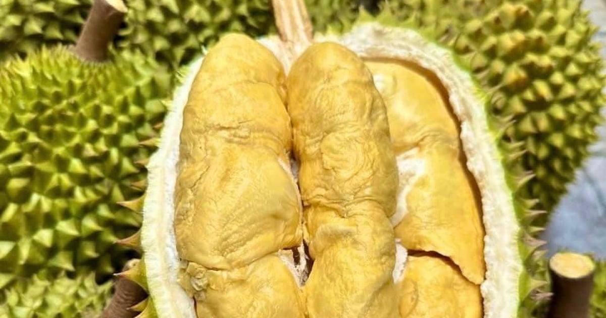 Xuất khẩu sầu riêng mang về 2,7 tỉ USD sau 8 tháng
