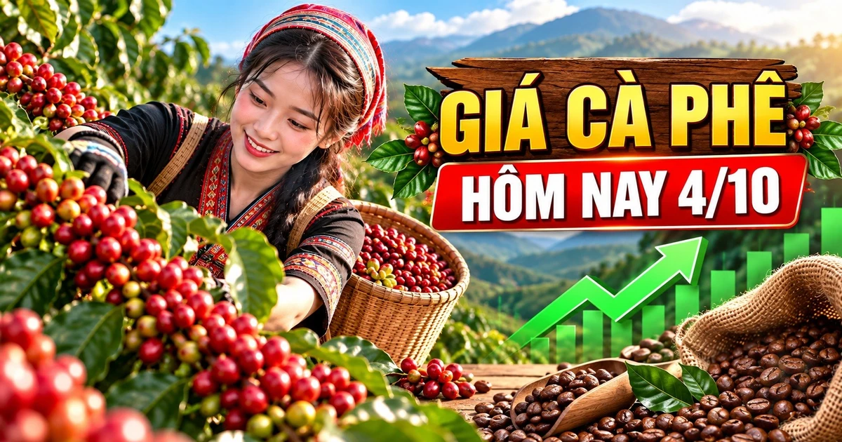 Harga kopi hari ini, 4 Oktober: Kedua bursa global naik, wilayah Dataran Tinggi Tengah pulih.