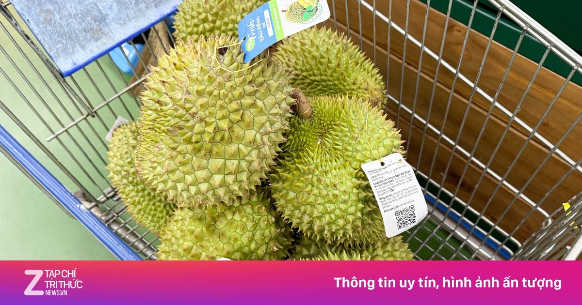 Sầu riêng siêu rẻ, giá chỉ vài chục nghìn đồng/kg