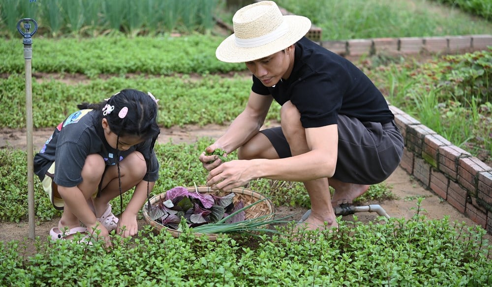 The father and sons toiled in the fields, digging and catching fish to gather ingredients for cooking rice - photo 3