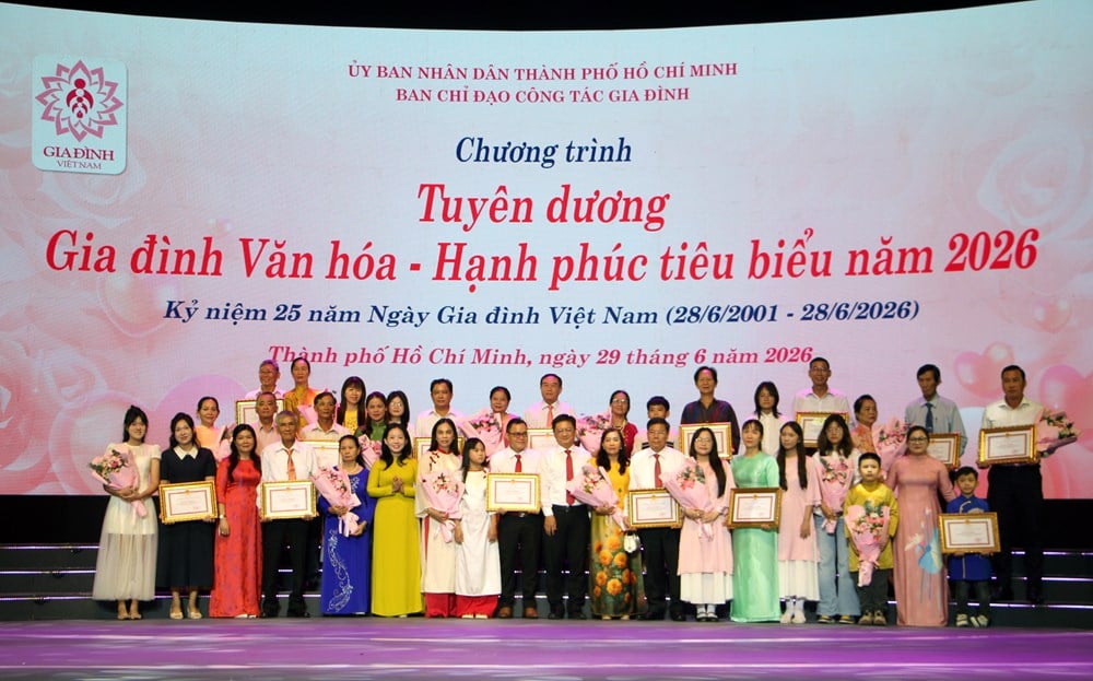 TP.HCM bổ sung chế độ cho lực lượng làm công tác gia đình ở cơ sở - ảnh 2