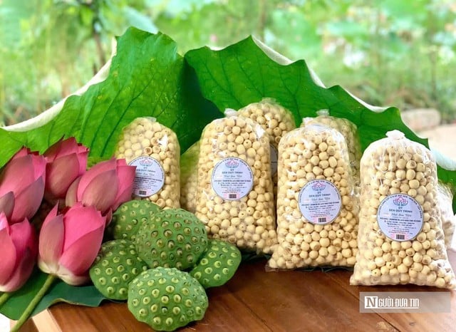 Quả ngọt bất ngờ cho chàng trai quyết “đổi đời” vùng đất ruộng trũng- Ảnh 3.