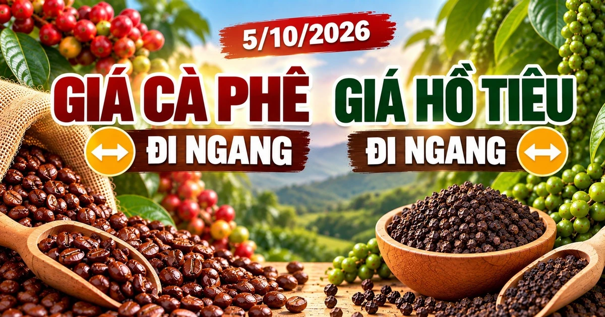 Giá cà phê, hồ tiêu hôm nay 5/10: Hai mặt hàng cùng đi ngang