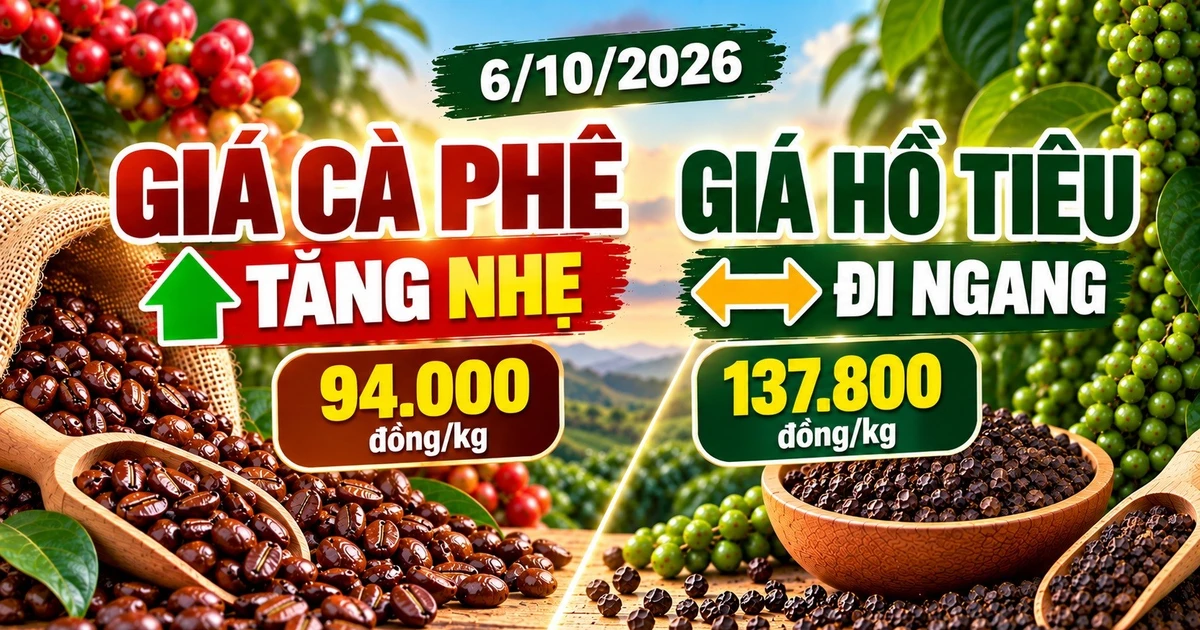 Giá cà phê, hồ tiêu hôm nay 6/10: Cà phê tăng, tiêu đi ngang