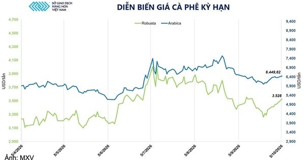 Giá cà phê tăng phiên thứ 3 liên tiếp lên 6.449 USD/tấn