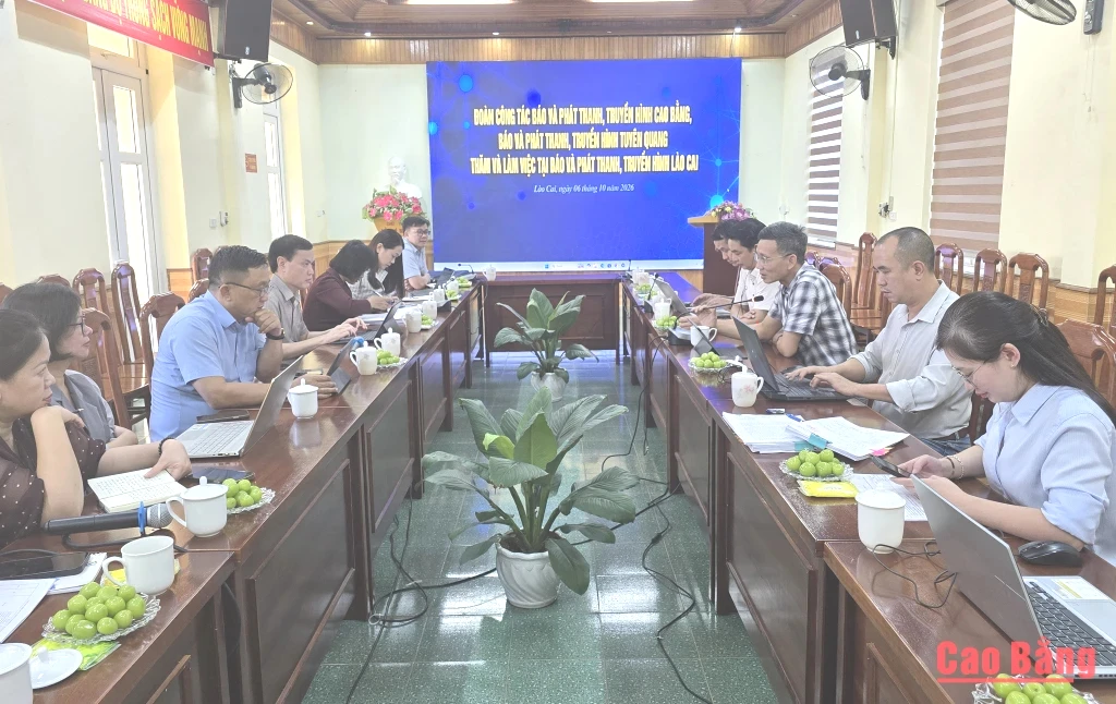Các đại biểu dự buổi làm việc.