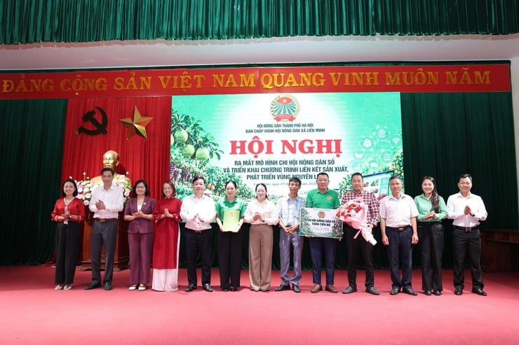 HỘI NÔNG DÂN XÃ LIÊN MINH RA MẮT MÔ HÌNH CHI HỘI NÔNG DÂN SỐ, TRIỂN KHAI CHƯƠNG TRÌNH LIÊN KẾT SẢN XUẤT, PHÁT TRIỂN VÙNG NGUYÊN LIỆU - Ảnh 1.