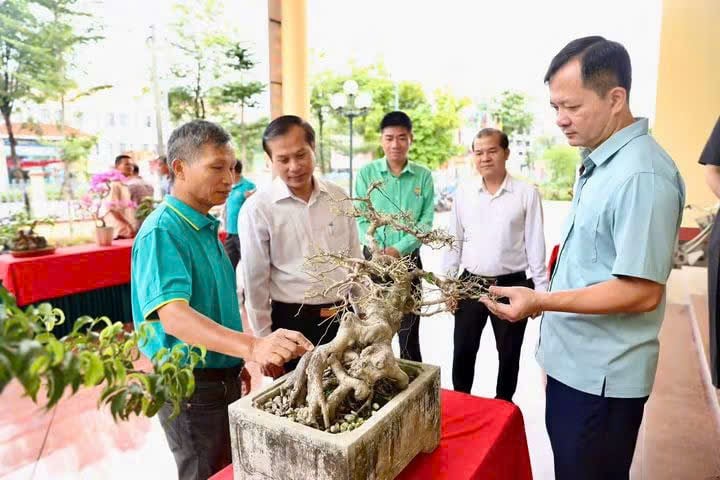 HỘI NÔNG DÂN XÃ SƠN ĐỒNG ĐA DẠNG HÌNH THỨC TẬP HỢP HỘI VIÊN NÔNG DÂN - Ảnh 5.