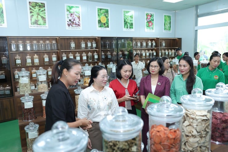 HỘI NÔNG DÂN XÃ LIÊN MINH RA MẮT MÔ HÌNH CHI HỘI NÔNG DÂN SỐ, TRIỂN KHAI CHƯƠNG TRÌNH LIÊN KẾT SẢN XUẤT, PHÁT TRIỂN VÙNG NGUYÊN LIỆU - Ảnh 5.