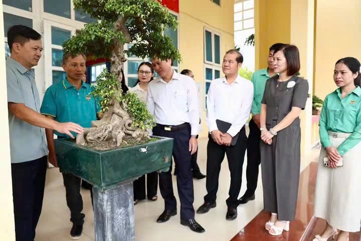 HỘI NÔNG DÂN XÃ SƠN ĐỒNG ĐA DẠNG HÌNH THỨC TẬP HỢP HỘI VIÊN NÔNG DÂN - Ảnh 6.