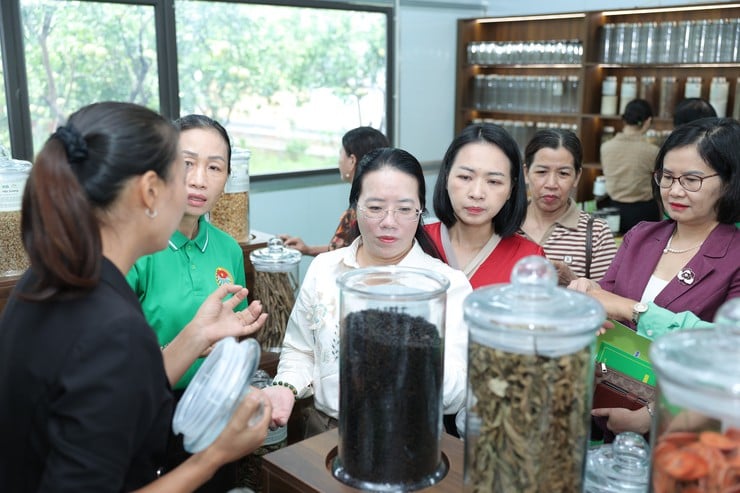 HỘI NÔNG DÂN XÃ LIÊN MINH RA MẮT MÔ HÌNH CHI HỘI NÔNG DÂN SỐ, TRIỂN KHAI CHƯƠNG TRÌNH LIÊN KẾT SẢN XUẤT, PHÁT TRIỂN VÙNG NGUYÊN LIỆU - Ảnh 6.