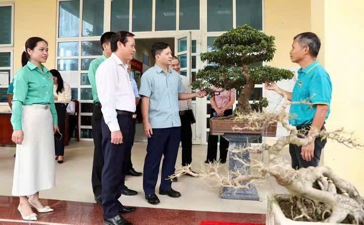 HỘI NÔNG DÂN XÃ SƠN ĐỒNG ĐA DẠNG HÌNH THỨC TẬP HỢP HỘI VIÊN NÔNG DÂN - Ảnh 7.