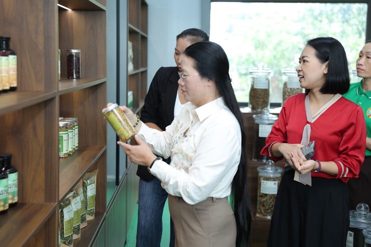 HỘI NÔNG DÂN XÃ LIÊN MINH RA MẮT MÔ HÌNH CHI HỘI NÔNG DÂN SỐ, TRIỂN KHAI CHƯƠNG TRÌNH LIÊN KẾT SẢN XUẤT, PHÁT TRIỂN VÙNG NGUYÊN LIỆU - Ảnh 7.