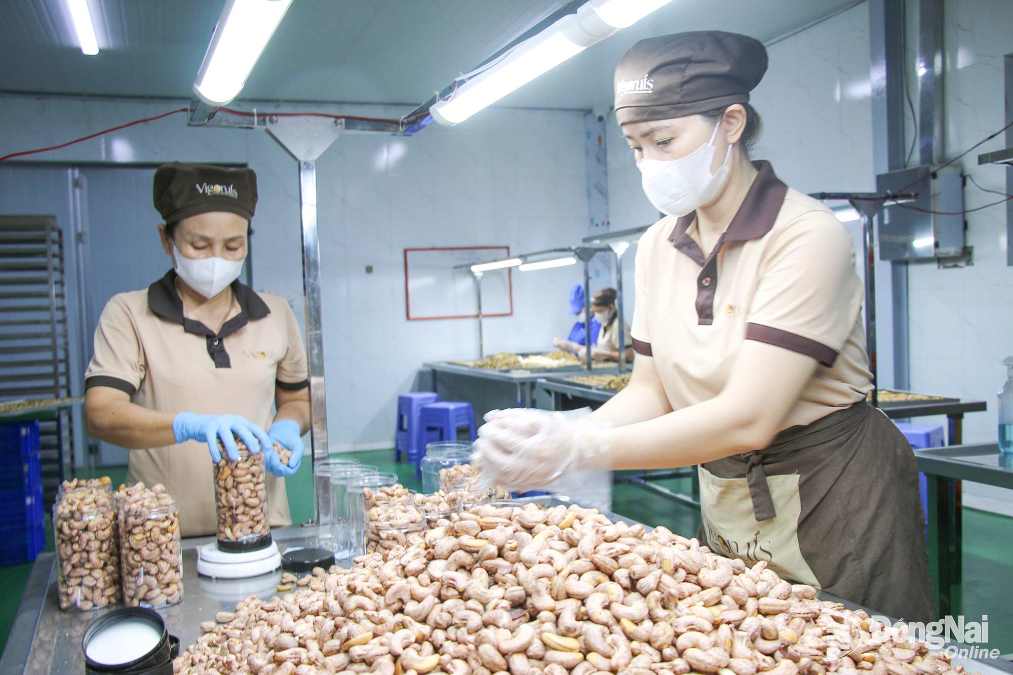 Produsele din nuci caju sunt fabricate la o afacere din comuna Xuan Hoa, orașul Dong Nai.