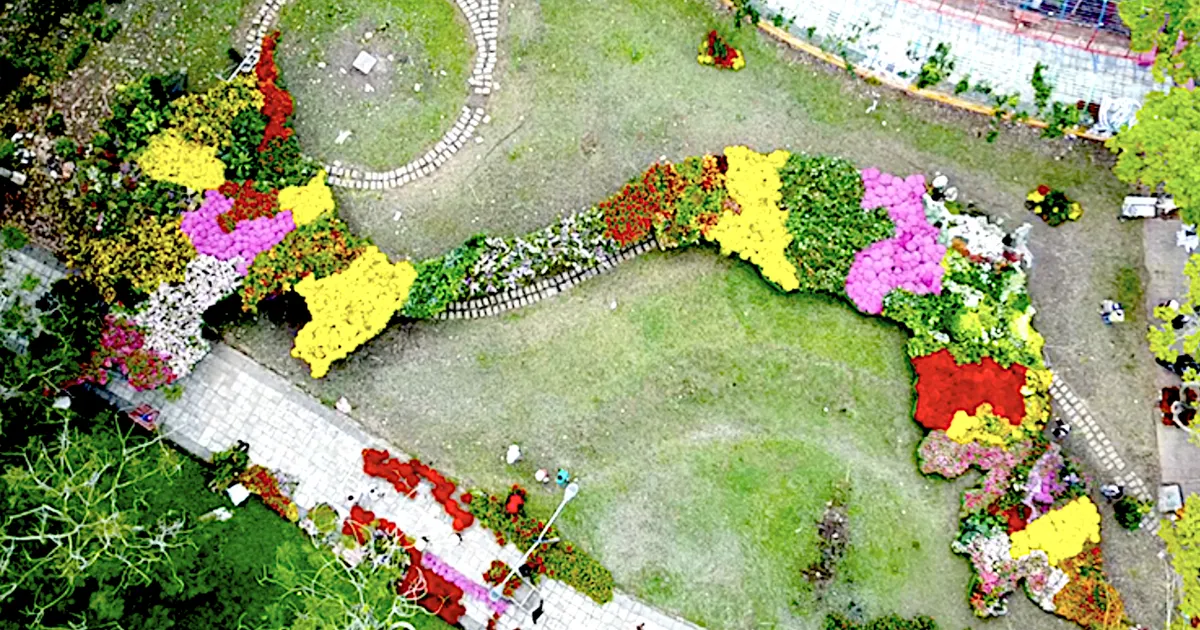 サデックの花で描くベトナム地図