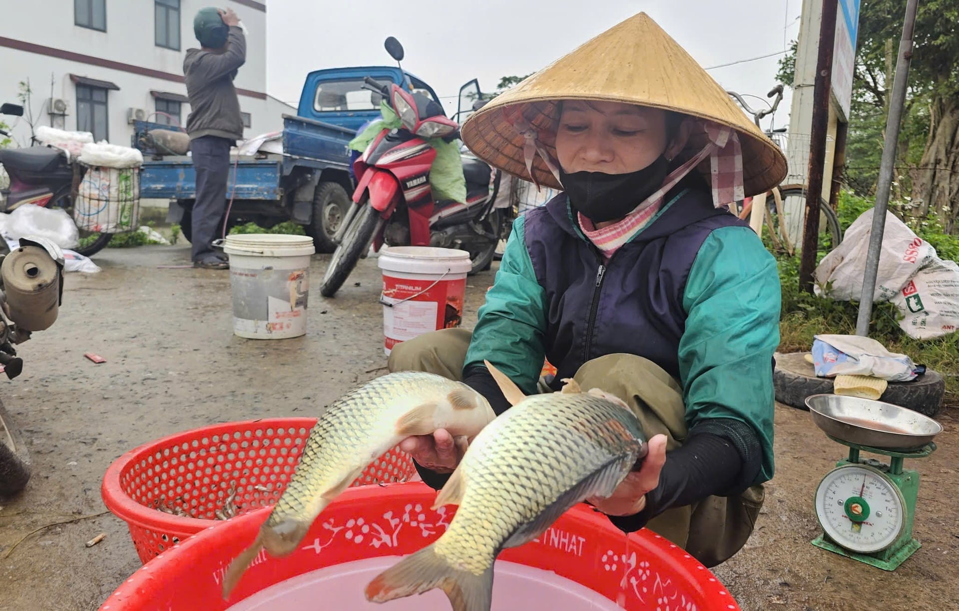 'Của nhà làm ra' nên bà con sẵn lòng bán rẻ cho khách qua đường. Ảnh: T. Đức.