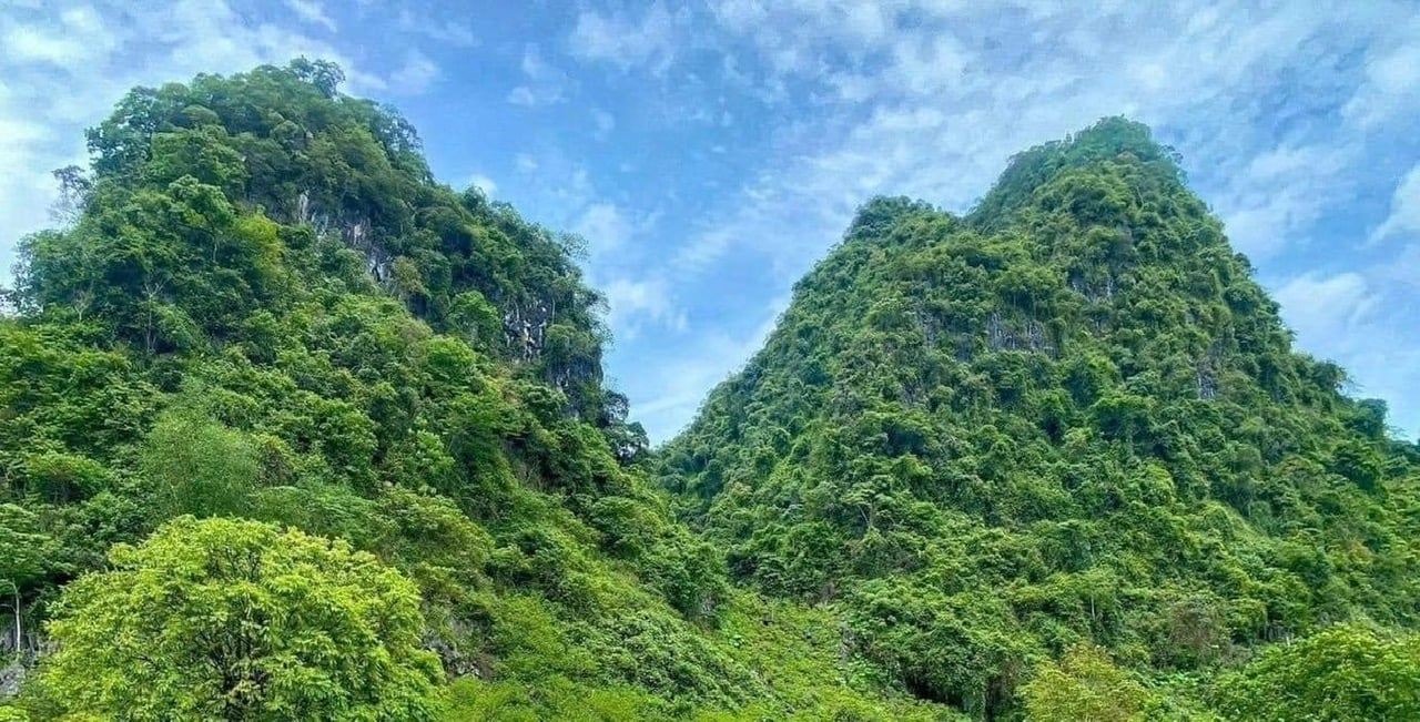 ہوانگ ڈنہ کنہ - ایک لچکدار ٹائی لیڈر - تصویر 1۔
