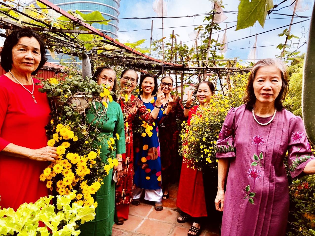 Tự làm trà hoa cúc "biếu cả họ" từ vườn trên sân thượng- Ảnh 5.