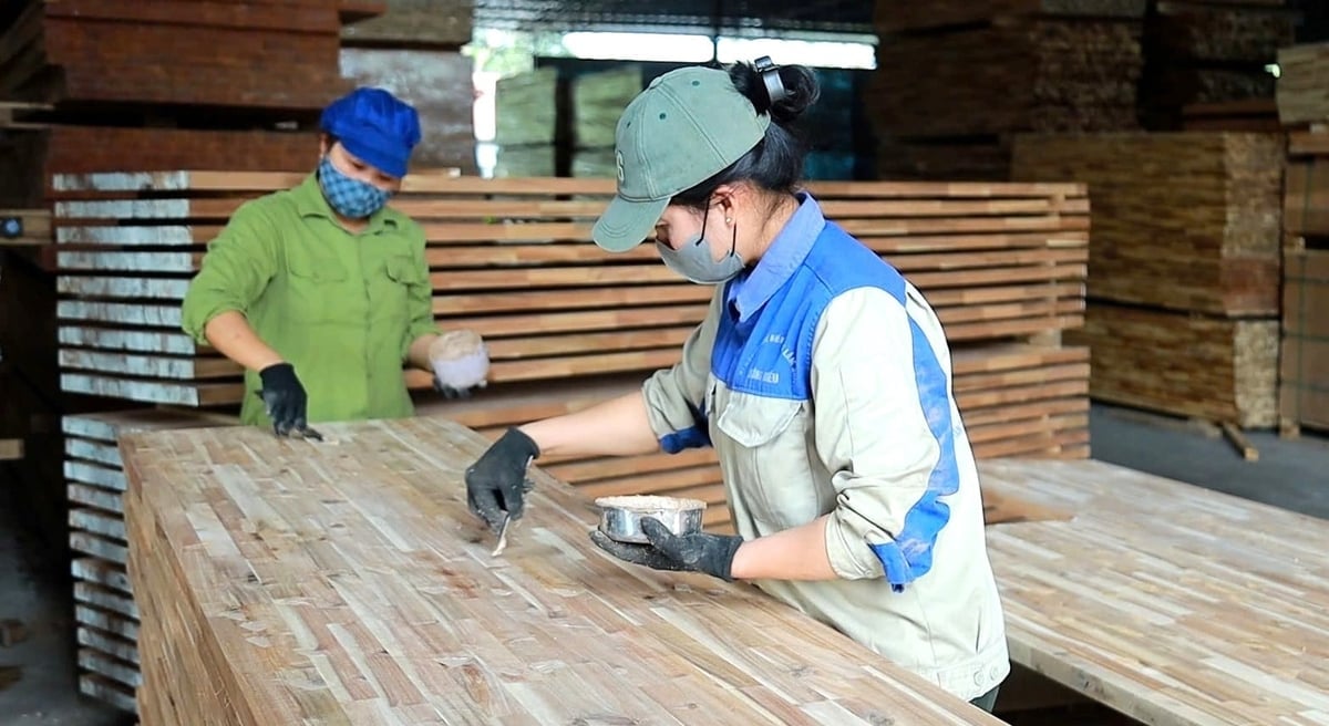 Si prevede che il paesaggio forestale nella provincia di Nghe An mostrerà un significativo miglioramento nel prossimo futuro. Foto: An Nhien. Bức tranh lâm nghiệp Nghệ An kỳ vọng sẽ khởi sắc thấy rõ trong thời gian tới. Ảnh: An Nhiên.
