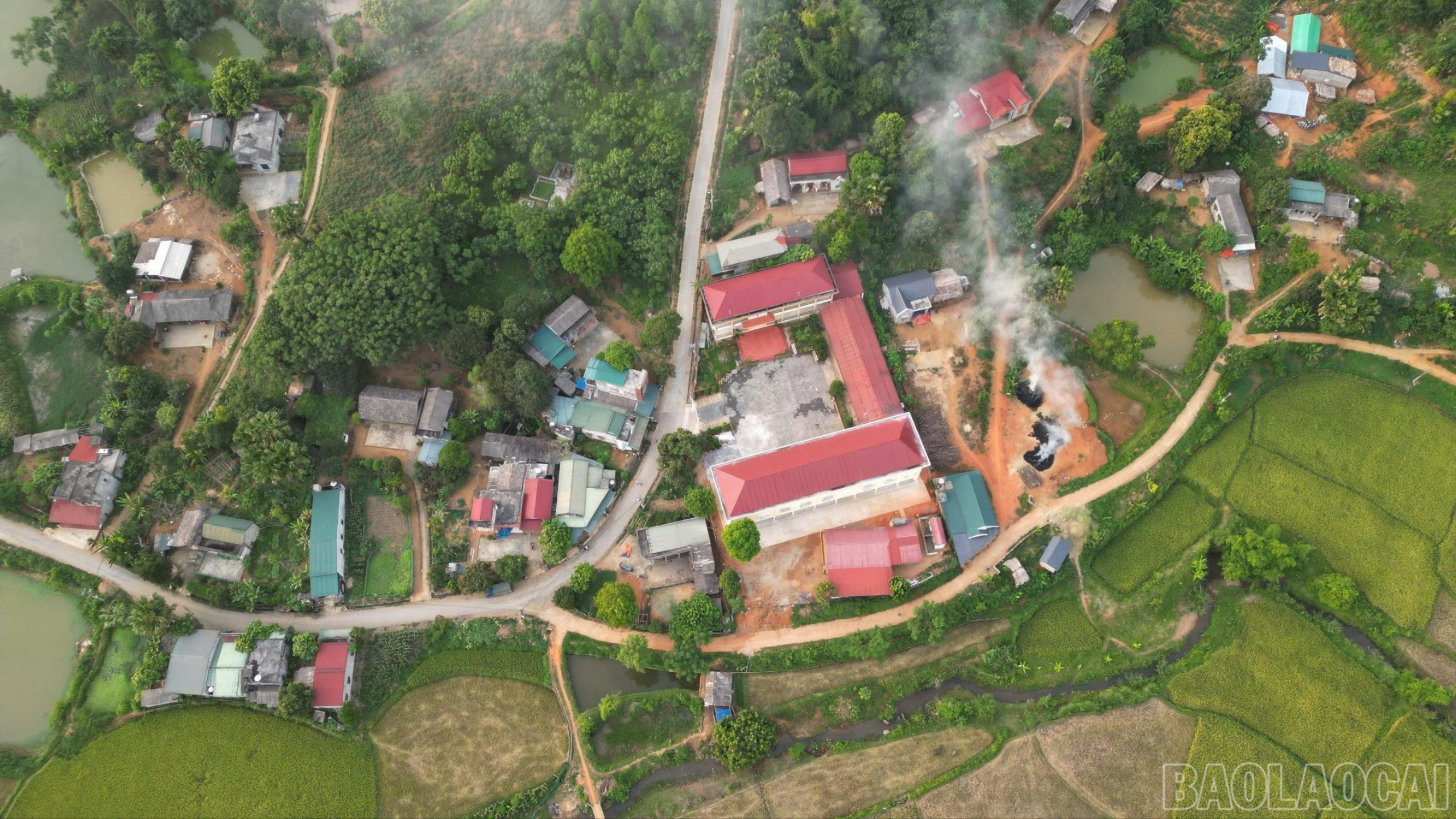 baolaocai-br_z7376756183266-54d7470fd3b11042b95c6aba21a5f1e1-6505.jpg
