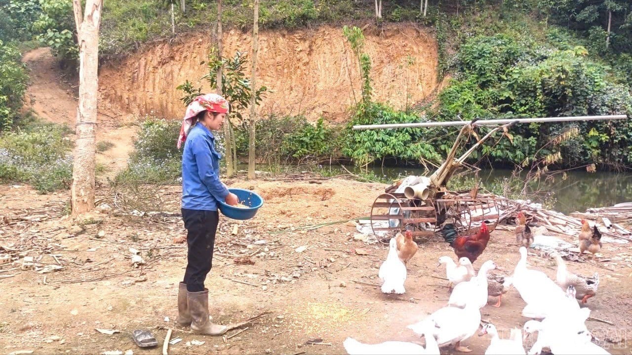 baolaocai-br_z7376504519957-211689b98a12b2321b2c2ac069589d3c-9317.jpg