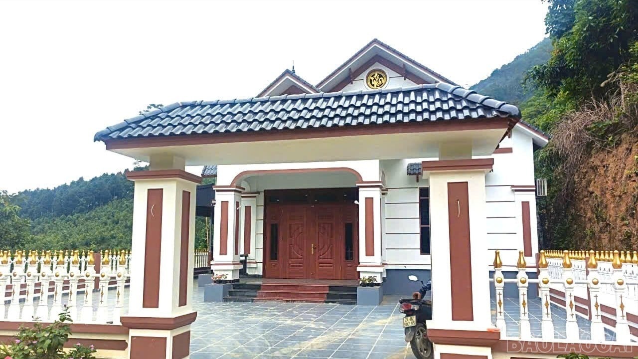 baolaocai-br_z7376504514509-a719b698483002d15b6afa7096f74e0b-2353.jpg