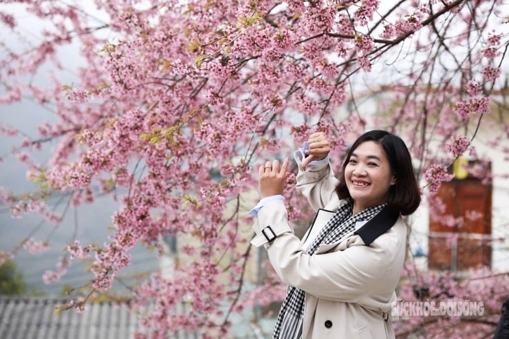 Cik Ngoc Luong (Hanoi) berkongsi perasaan tenangnya sambil mengagumi bunga-bunga di tengah-tengah kabus gunung.
