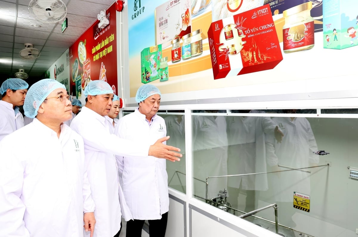 Phó Chủ tịch Quốc hội Lê Minh Hoan tham quan nhà máy chế biến yến sào - rong nho của DT Group. Ảnh:&nbsp; KS.