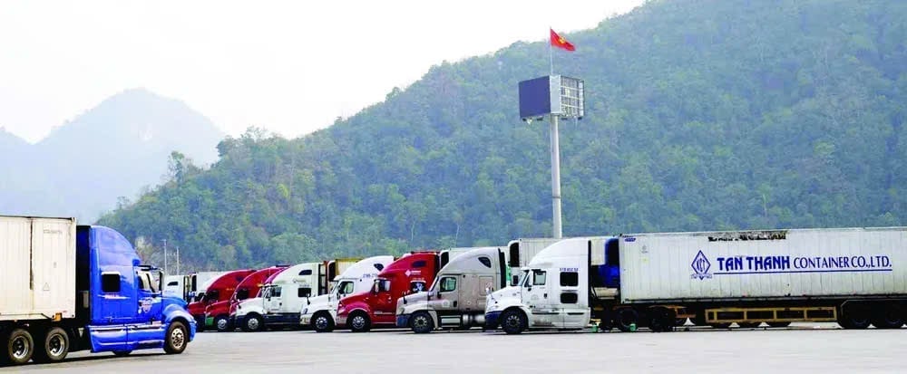 Il miglioramento delle infrastrutture di trasporto, con il progressivo collegamento delle autostrade Nord-Sud, è un prerequisito fondamentale per ridurre i tempi di spedizione e aumentare la competitività dei prodotti ittici freschi vietnamiti nella corsa al mercato cinese. Foto: Thu Thủy.